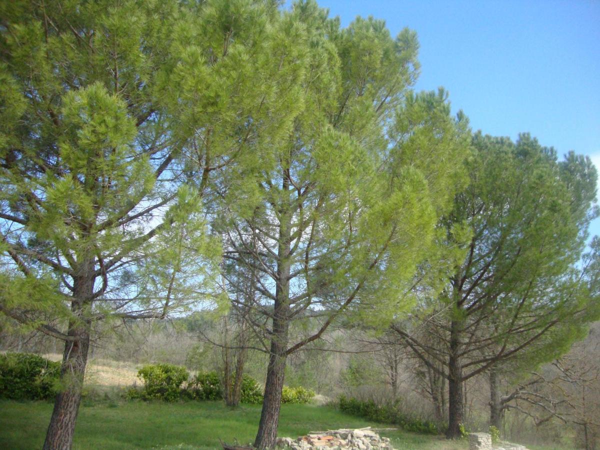 La Croix Du Sud - Ocres En Provence Villa Apt Exteriör bild